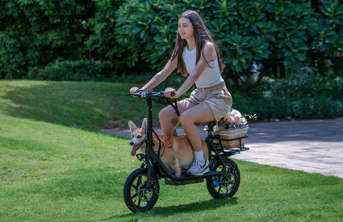 DYU C4 14 inch Foldable E-Bike DYU C4 14 inch Foldable E-Bike
