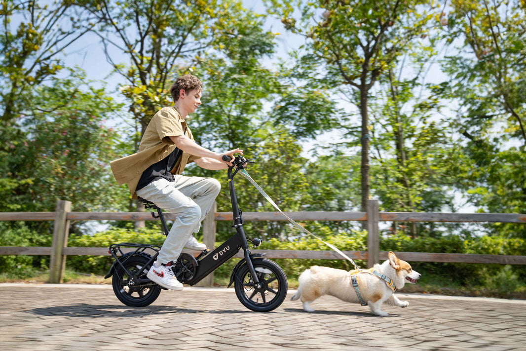 🎆 Celebrate 4th of July in Style: Explore Metro City Festivities with DYU E-Bikes