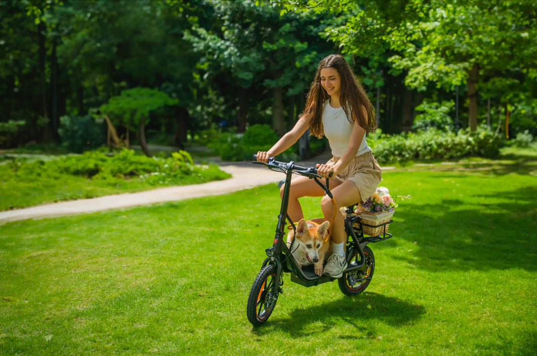 The Complete 2025 Electric Bike Wheel Size Guide