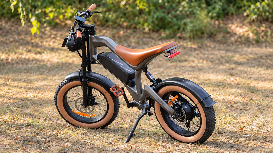 DYU M20 fat-tire e-bike parked on grass, viewed from the rear side