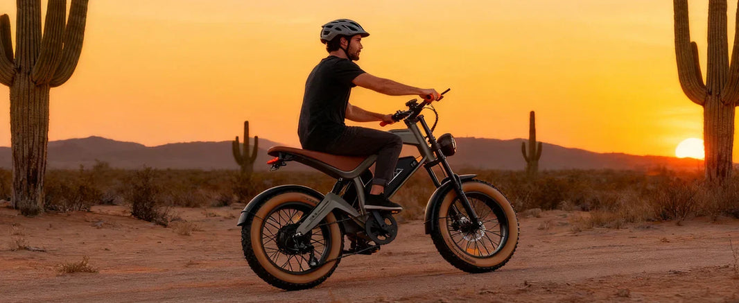 DYU M20 fat tire e-bike used for Class 3 route planning