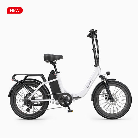 DYU C9 20 Inch Long-Range ebike