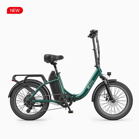 DYU C9 20 Inch Long-Range ebike