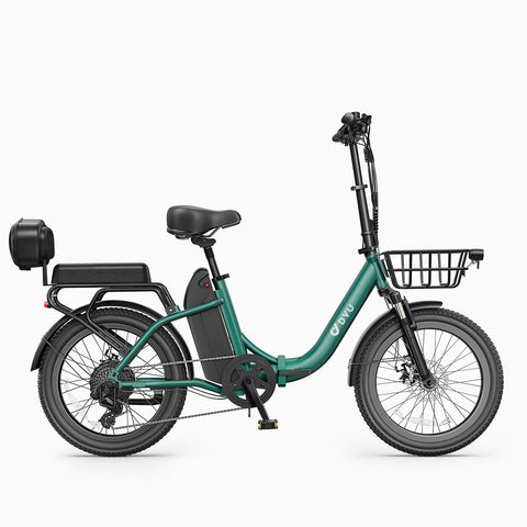 DYU C9 20 Inch Long-Range ebike