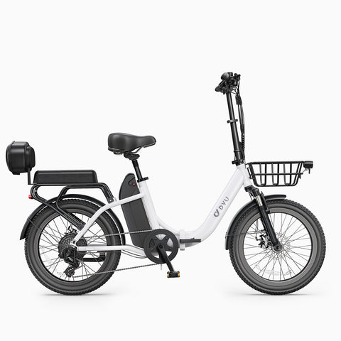 DYU C9 20 Inch Long-Range ebike