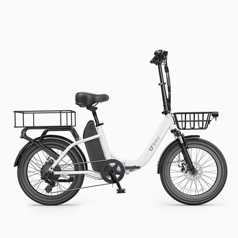 DYU C9 20 Inch Long-Range ebike