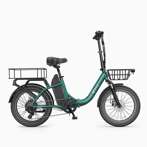 DYU C9 20 Inch Long-Range ebike