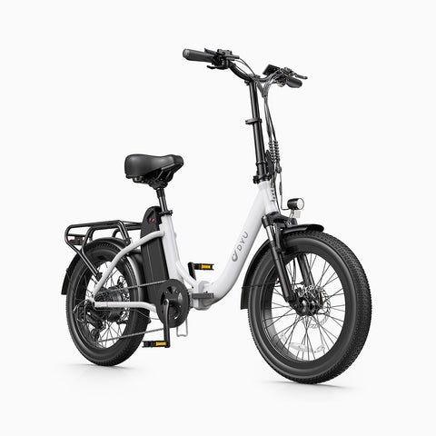 DYU C9 20 Inch Long-Range ebike