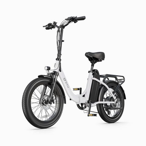 DYU C9 20 Inch Long-Range ebike