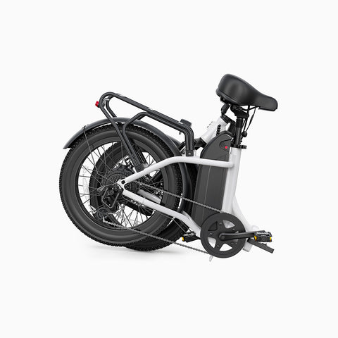 DYU C9 20 Inch Long-Range ebike