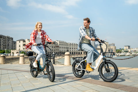 DYU C9 20 Inch Long-Range ebike