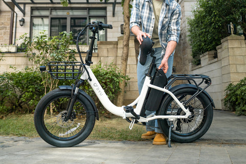 DYU C9 20 Inch Long-Range ebike