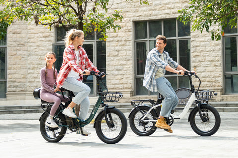 DYU C9 20 Inch Long-Range ebike