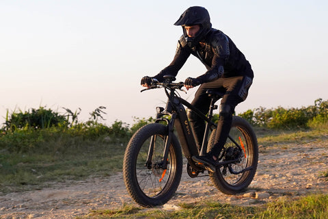 DYU King 750 Fat Tire Electric Bike