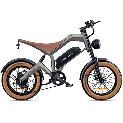 DYU M20 20 Inch Long-Range Electric Motorcycle
