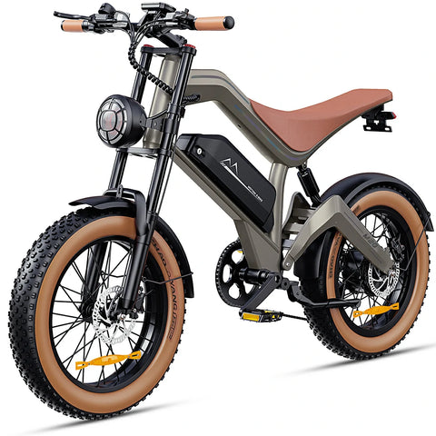 DYU M20 20 Inch Long-Range Electric Motorcycle