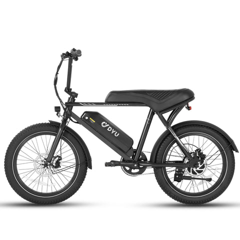 DYU BMX 20 Inch Fat Tire Off-Road Electric Bike