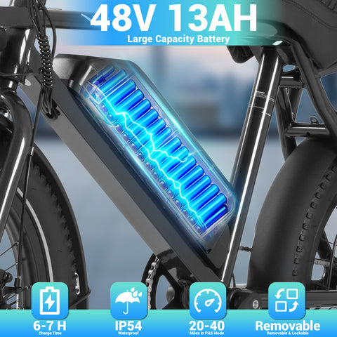 DYU BMX 20 Inch Fat Tire Off-Road Electric Bike