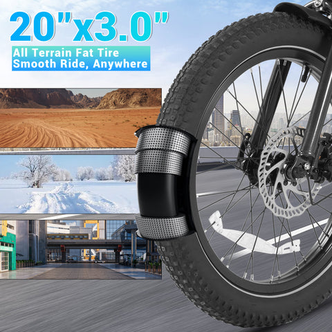 DYU BMX 20 Inch Fat Tire Off-Road Electric Bike