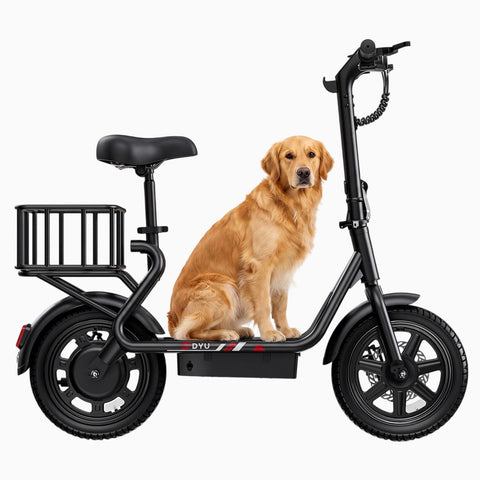 DYU C4 MINI 14'' Foldable Electric Bike