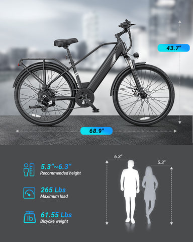 DYU C5 Lite 26 Inch Electric Bike for Adults