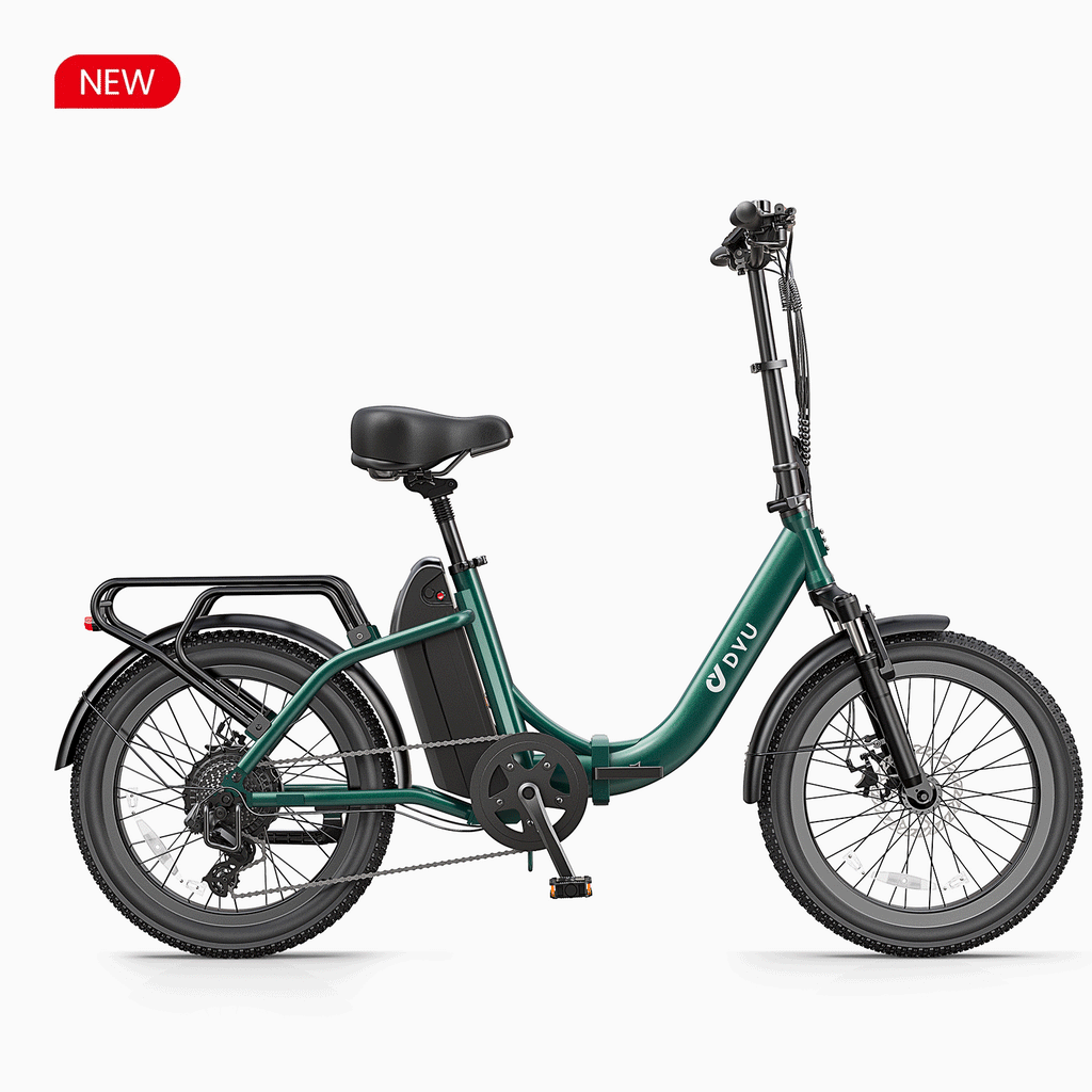 DYU C9 20 Inch Long-Range ebike