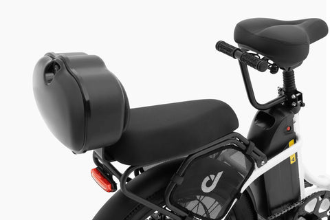 DYU C9 20 Inch Long-Range ebike