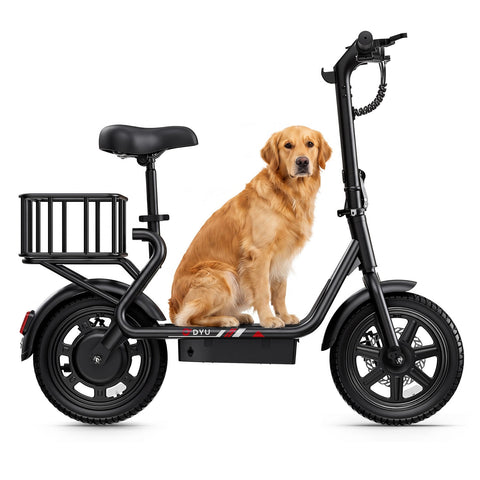DYU C4 MINI 14'' Foldable Electric Bike