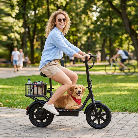 DYU C4 MINI 14'' Foldable Electric Bike