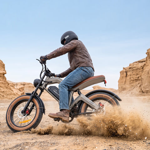 DYU M20 Lite All-Terrain Long-Range Electric Bike