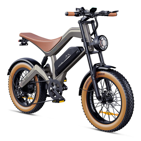 DYU M20 Lite All-Terrain Long-Range Electric Bike