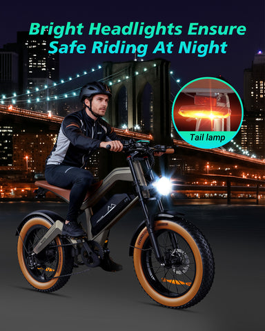 DYU M20 Lite All-Terrain Long-Range Electric Bike
