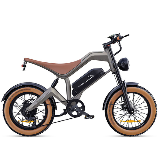 NEW DYU M20 Lite All-Terrain Long-Range Electric Bike