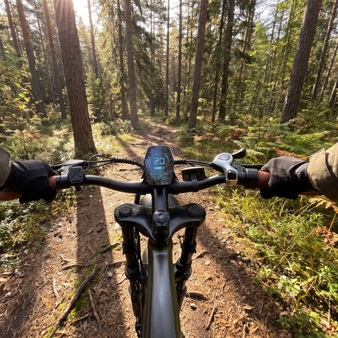 DYU M20 Lite All-Terrain Long-Range Electric Bike