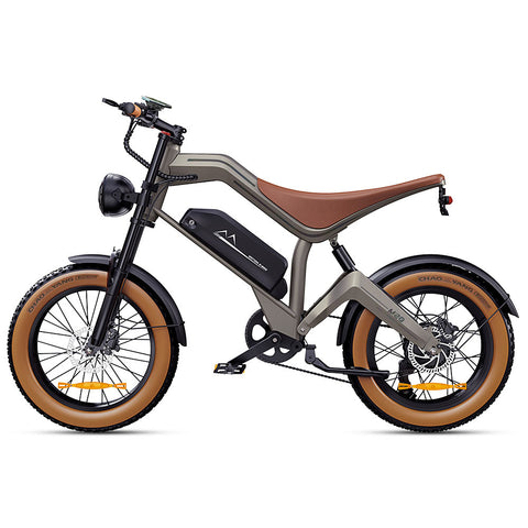 DYU M20 Lite All-Terrain Long-Range Electric Bike