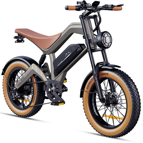DYU M20 Lite All-Terrain Long-Range Electric Bike