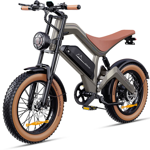 DYU M20 Lite All-Terrain Long-Range Electric Bike