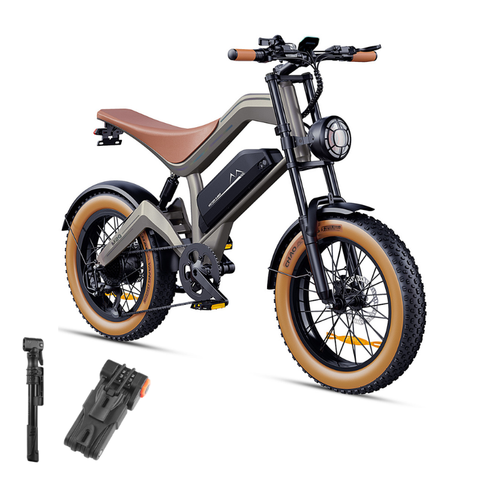 NEW DYU M20 Lite All-Terrain Long-Range Electric Bike