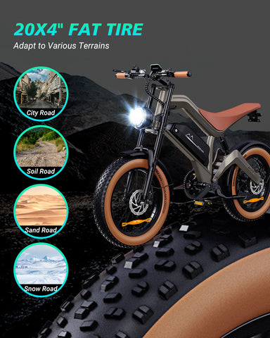 DYU M20 Lite All-Terrain Long-Range Electric Bike