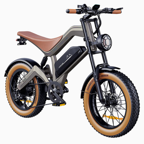 NEW DYU M20 All-Terrain Long-Range Electric Bike