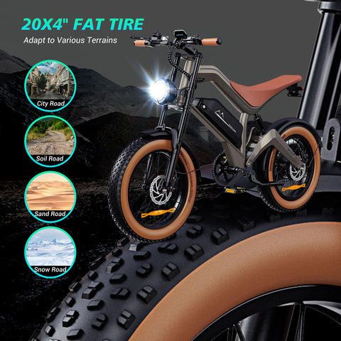 NEW DYU M20 Lite All-Terrain Long-Range Electric Bike