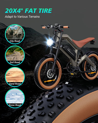 DYU M20 20 Inch Long-Range Electric Motorcycle