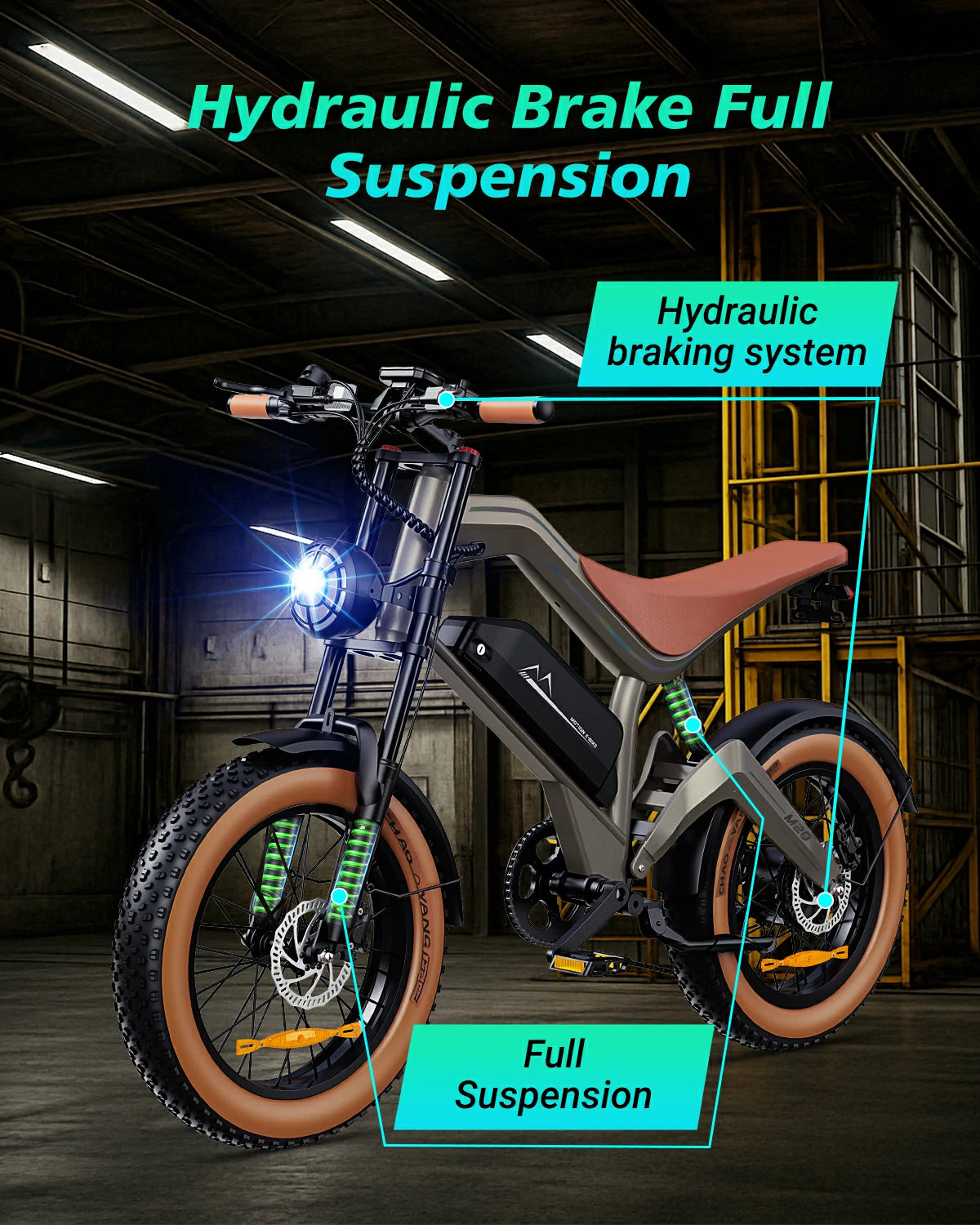 DYU M20 Lite All-Terrain Long-Range Electric Bike DYU M20 Lite All-Terrain Long-Range Electric Bike