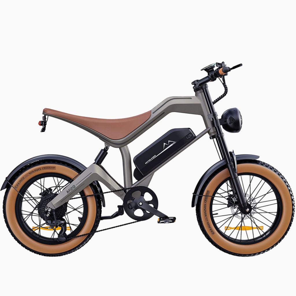 NEW DYU M20 All-Terrain Long-Range Electric Bike