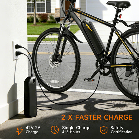 DYU M26  Electric Bike for Adults