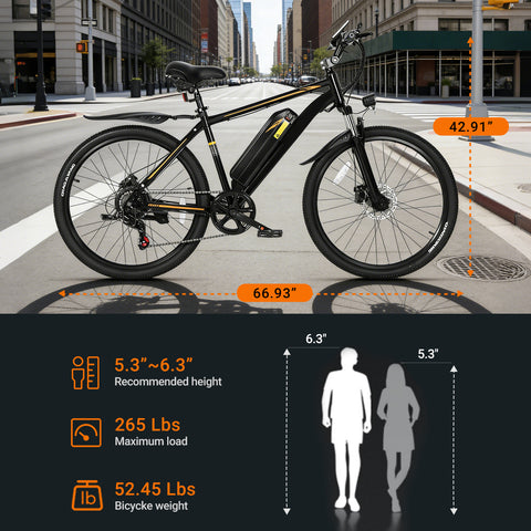 DYU M26  Electric Bike for Adults