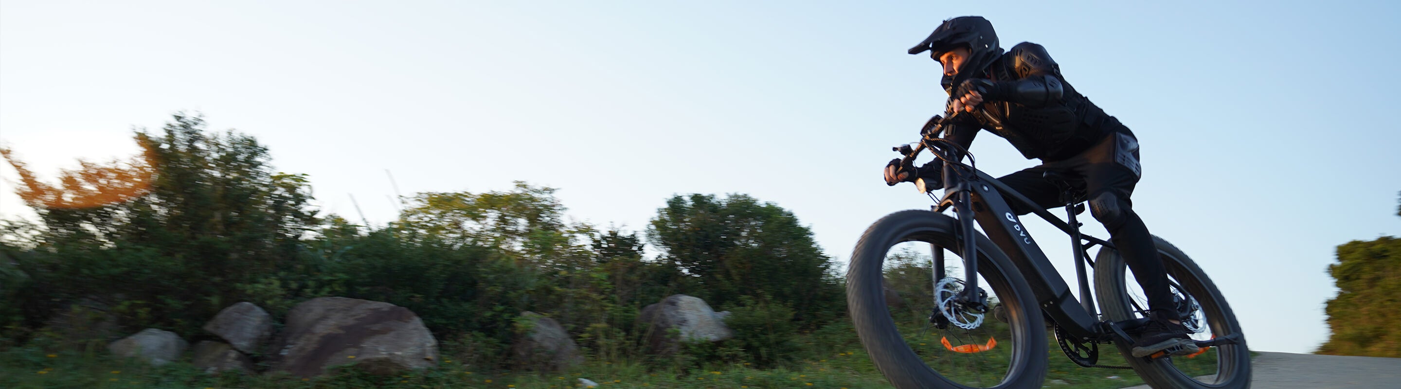 mountain electric bike
