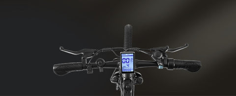 DYU M26  Electric Bike for Adults